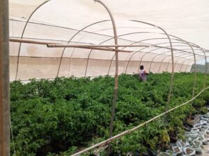 eco-action--rim- (2)