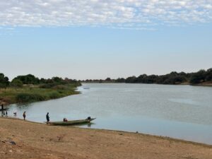 eco-action--rim- (39)